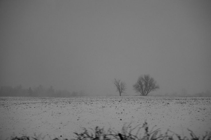 Create meme: white landscape, foggy landscape, black and white landscape