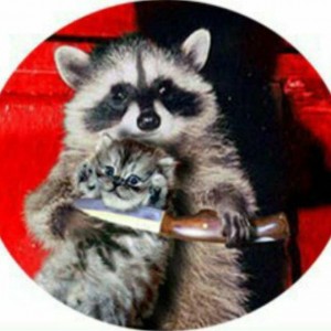 Create meme: raccoon gargle homemade, enotice, raccoon gargle