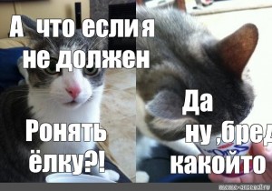 Том что если что то. Кот да Мем. А что если Мем с котом. А вдруг Мем кот. Ронял или ранял.