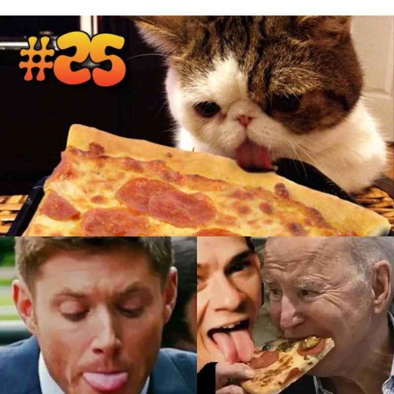 Create meme: cat with pizza, pizza meme, cat with food