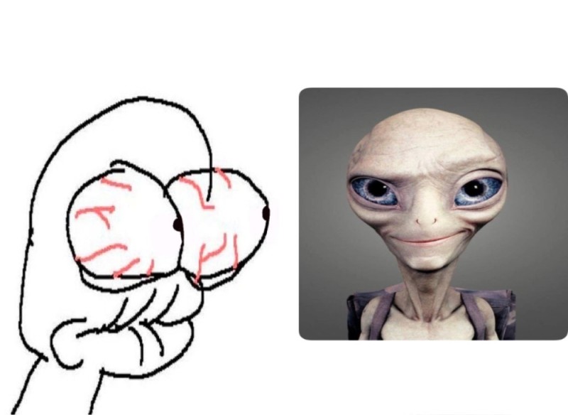 Create meme: the secret materialchik, The alien is Paul, Gender: the secret material (2011)