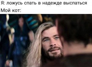 Create meme: Chris Hemsworth, Chris Hemsworth Thor, éomer the Lord of the rings