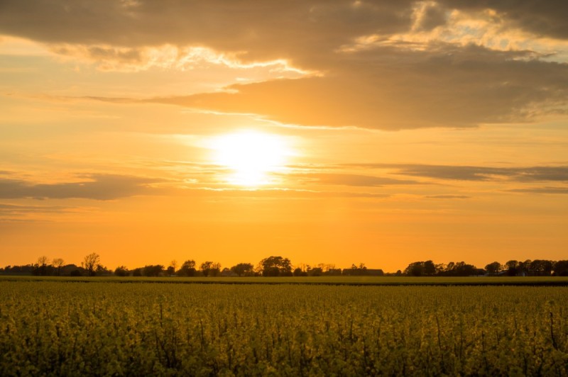 Create meme: sunset in the field, dawn in a field, The sun is over the field