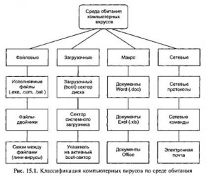 Создать мем: схема классификации вирусов информатика, компьютерные вирусы схема, блок схема классификация компьютерных вирусов