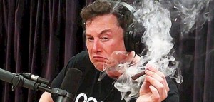 Create meme: Elon musk smokes weed, musk Elon musk, Elon musk meme