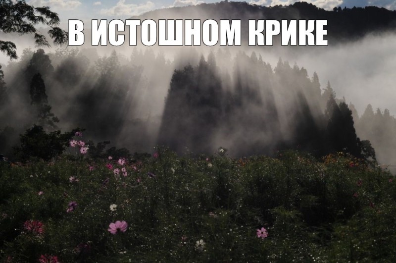 Create meme: nature , foggy landscapes, mist mountains