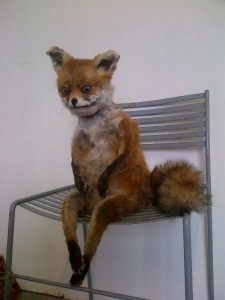 Create meme: a stuffed Fox meme, a stuffed Fox, meme stoned Fox