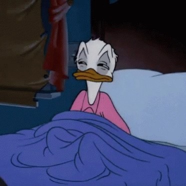 Create meme: Donald duck , the sleepy meme, Donald Duck has woken up and is still sleeping