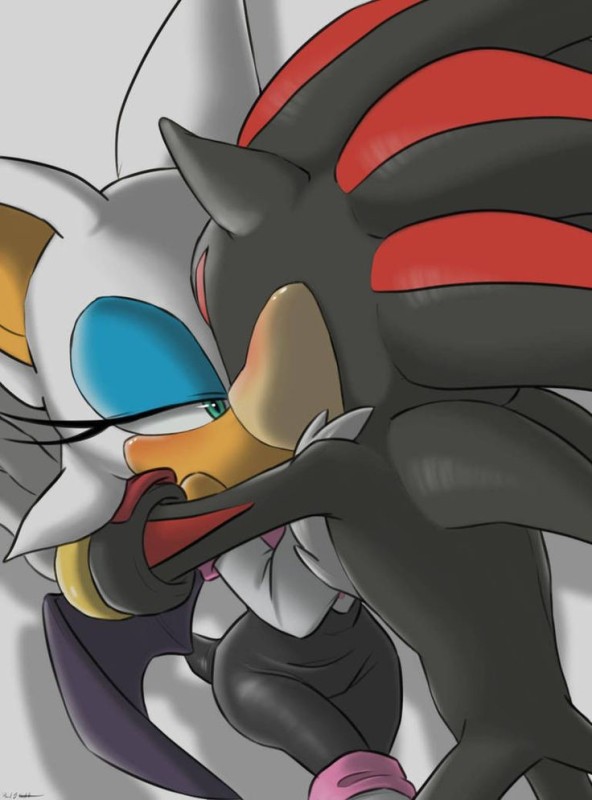 Create meme: rouge sonic, shadow and silver, sonic shadow