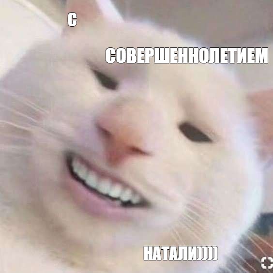 Создать мем: null