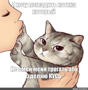 Любимый котик картинки