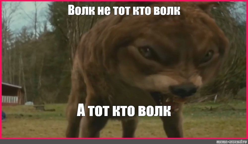 Мем Волк не тот кто волк А тот кто волк Все шаблоны Meme 