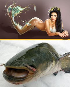 Create meme: fishing for catfish in the winter, photo fish catfish winter, caught a catfish