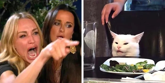 Создать мем: мем кричащая женщина и кот, девушки и кот мем, кот и женщина мем