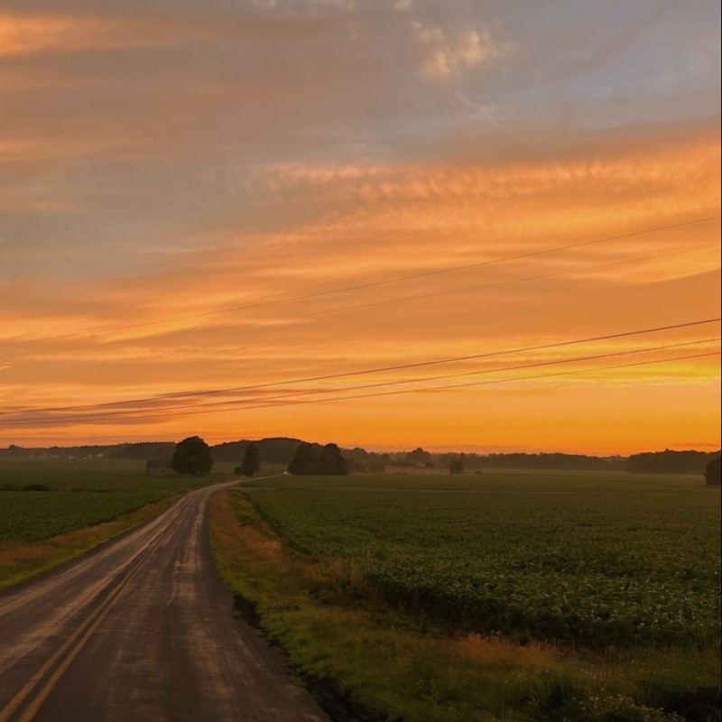 Create meme: sunset field, evening road, the road field