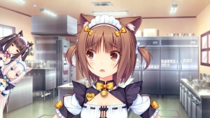 Create meme: adzuki necoara, Nekopara, nekopara vol