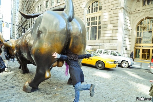 Create meme: bull wall street new york eggs new, bull with eggs, the bull on wall street 