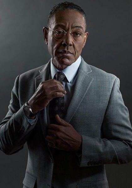 Create meme: Gustavo Fring breaking Bad, gus fring, gustavo Gus fring