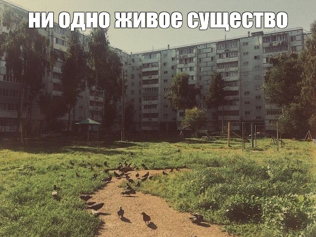 Create meme: Russia nostalgia, duck swamp, abandoned cities of russia