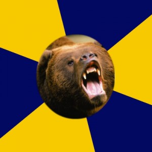 Create meme: silly monkey, grizzly bear, bear