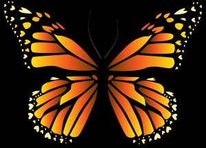 Create meme: butterfly wings, monarch butterfly art, butterfly