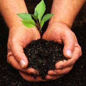 Create meme: soil, soil protection pictures, fertile soil