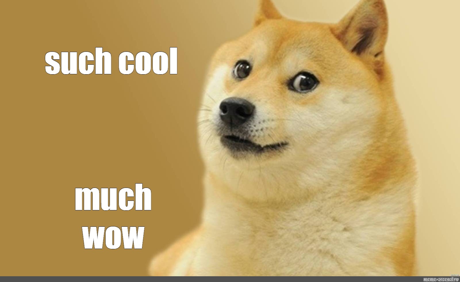 doge meme so wow