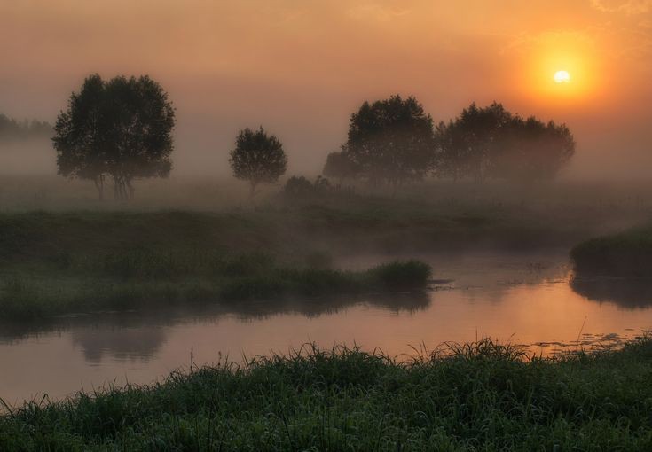 Create meme: foggy morning fet, Sherna river fog, landscape 