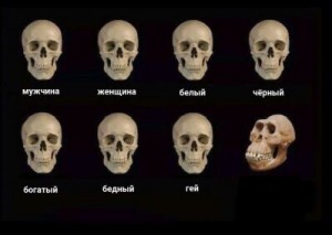 Создать мем: skull, череп мем, мемы про череп