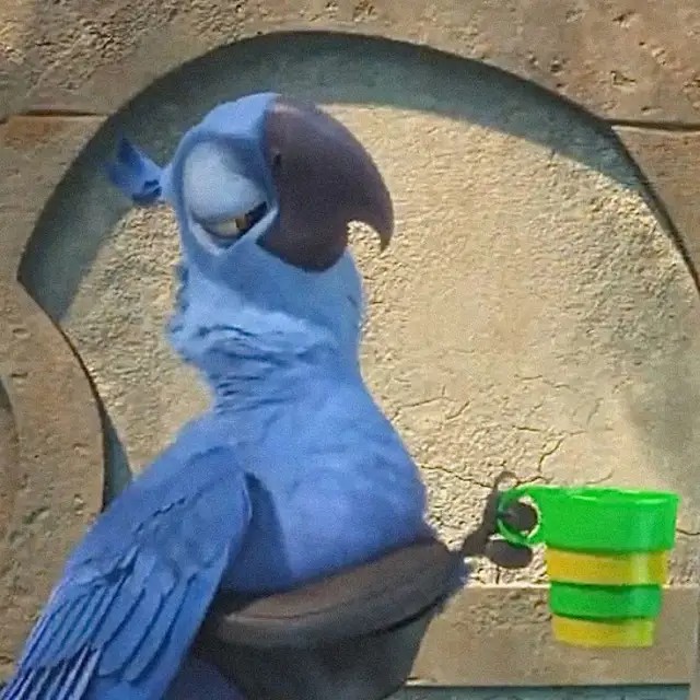 Create meme: The blue macaw Rio parrot, Rio's parrot, Rio's blue parrot