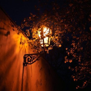 Create meme: magical autumn, magic lantern photo, night street lamp