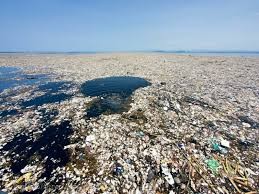 Create meme: garbage island in the Pacific ocean, garbage islands in the ocean, garbage islands in the world ocean