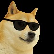 Create meme: doge, dog with glasses meme, doge glasses