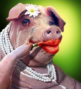 Create meme: pig, the painted pig, funny pigs