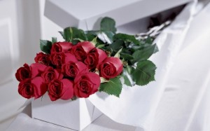 Create meme: slide show happy birthday, red rose, roses gift