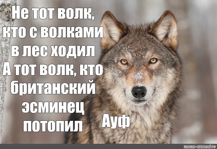 Волком в лес не ходи. Волк не волк волк. Волк не тот кто волк. Волк не тот. Волк не тот кто волк а тот кто волк Мем.