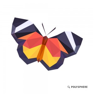 Create meme: geometry PNG, animals polygonal butterfly png, polygon brain