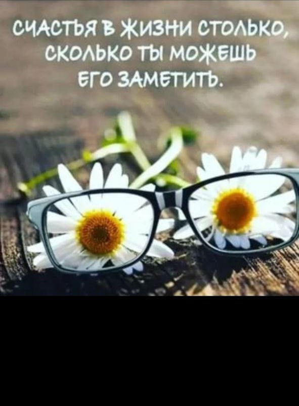 Create meme: quotes positive, daisy glasses, with daisies