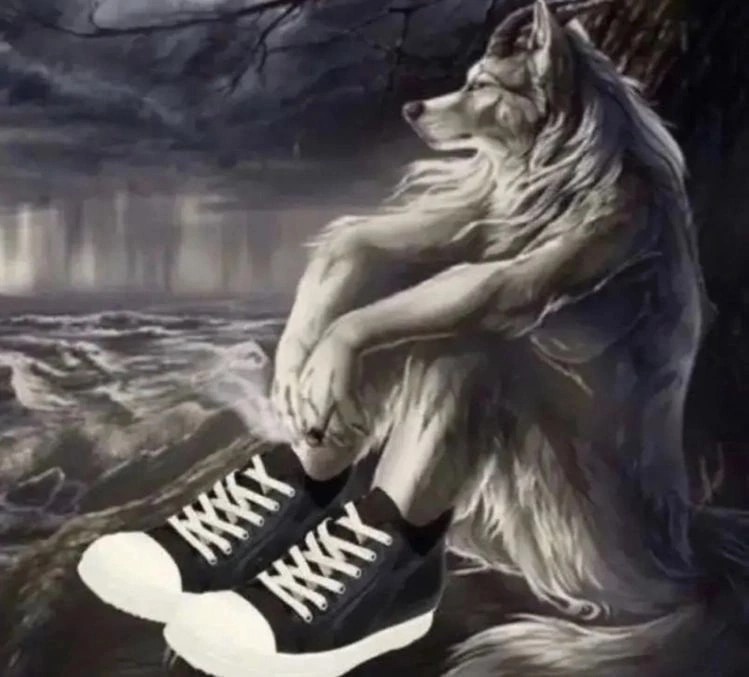 Создать мем: обувь, тамбовский волк оборотень, волк одиночка