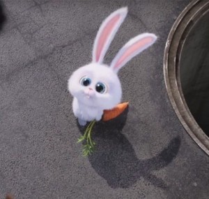 Create meme: the secret life of Pets rabbit