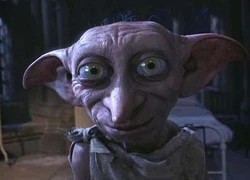 Create meme: dobby's master, Dobby in Harry Potter, Harry potter dobby is free