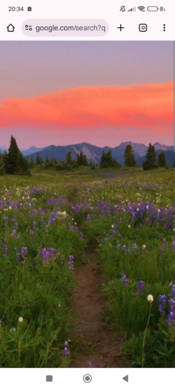 Создать мем: landscape scenery, mt rainier national park, beautiful nature