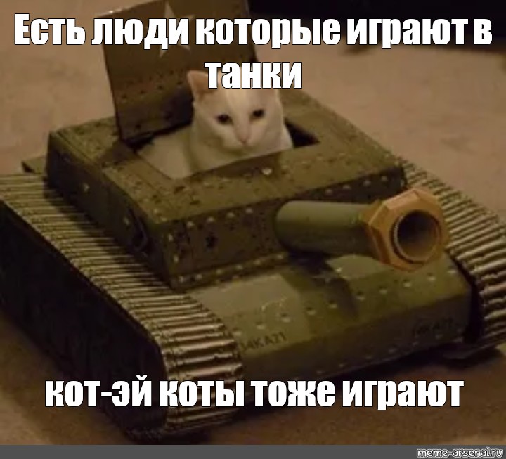 Котик в танке картинки