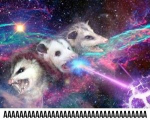 Create meme: animals, in space, wolf galaxy