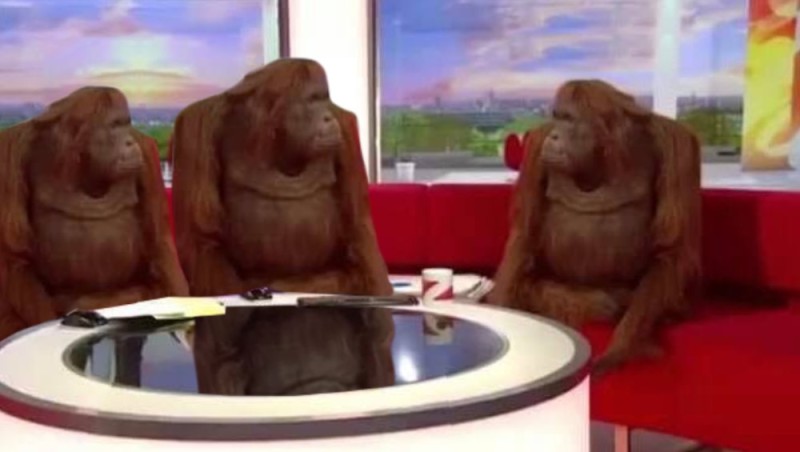 Создать мем: мем с 3 обезьянами за столом, александр григорьевич лукашенко, орангутан