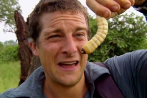 Create meme: scholarship fun, bear Grylls, to survive at any cost