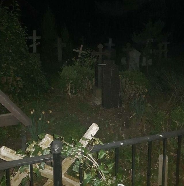 Create meme: Goths in the cemetery at night, at night in the cemetery, the cemetery is scary