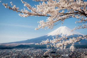 Создать мем: япония фудзи панорама, цветение сакуры в японии, цветение сакуры