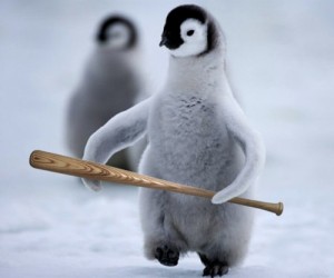 Create meme: emperor penguin, Penguin Gopnik