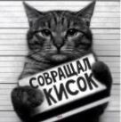 Create meme: cat Tsar of Russia, good cat, wih cat
